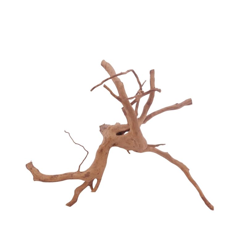L Moorkienwurzel  Nr.3476 Fingerwurzel Echtholz Deko Aquascaping 