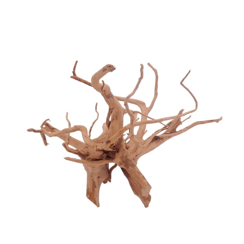 L Moorkienwurzel  Nr.3477 Fingerwurzel Echtholz Deko Aquascaping 