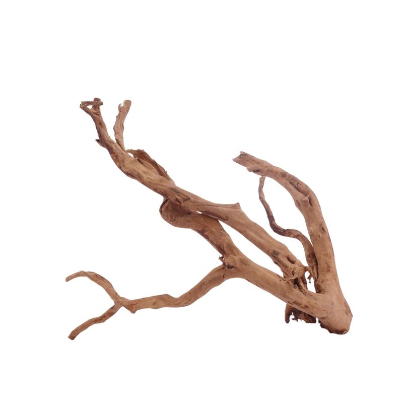 L Moorkienwurzel  Nr.3479 Fingerwurzel Echtholz Deko Aquascaping 