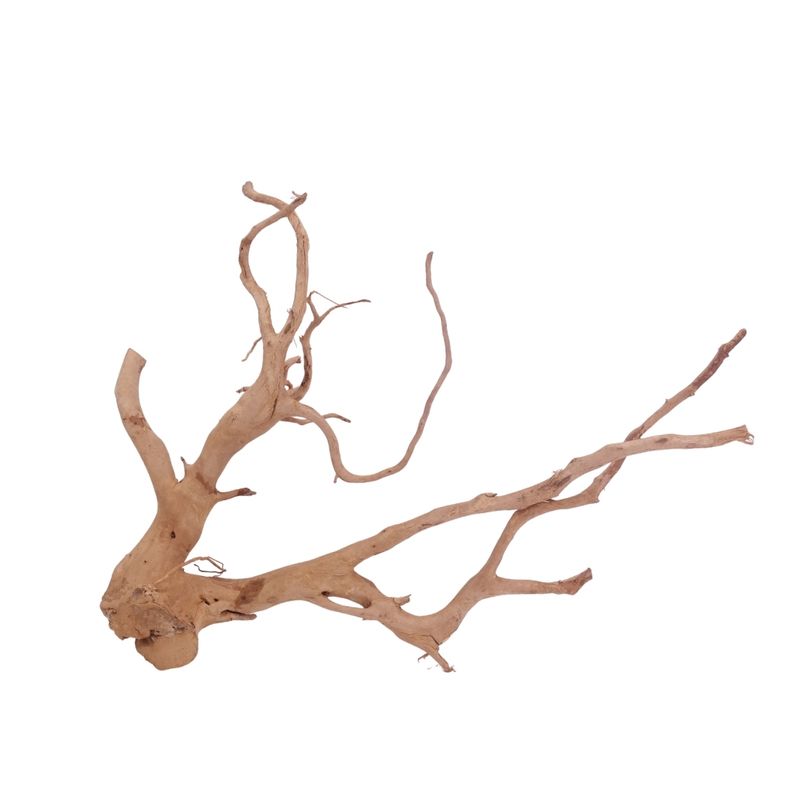 XL Moorkienwurzel Nr.3493 Fingerwurzel Echtholz Deko Aquascaping 