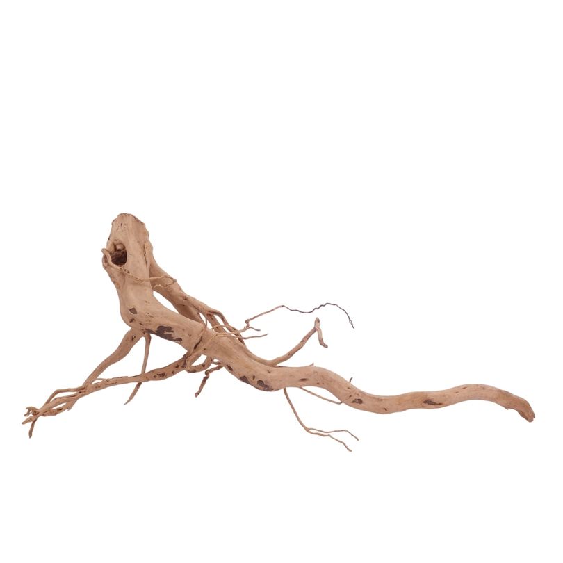 XL Moorkienwurzel Nr.3495 Fingerwurzel Echtholz Deko Aquascaping 