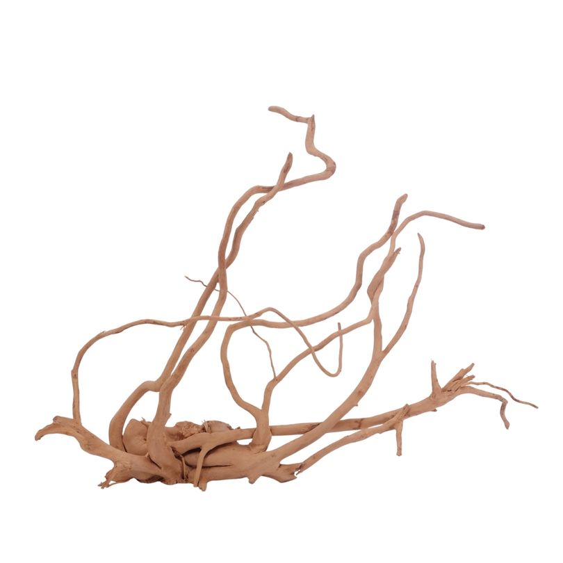 XL Moorkienwurzel Nr.3497 Fingerwurzel Echtholz Deko Aquascaping 