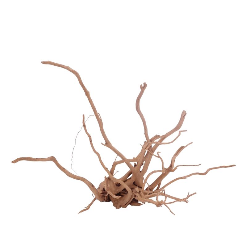 XL Moorkienwurzel Nr.3505 Fingerwurzel Echtholz Deko Aquascaping 