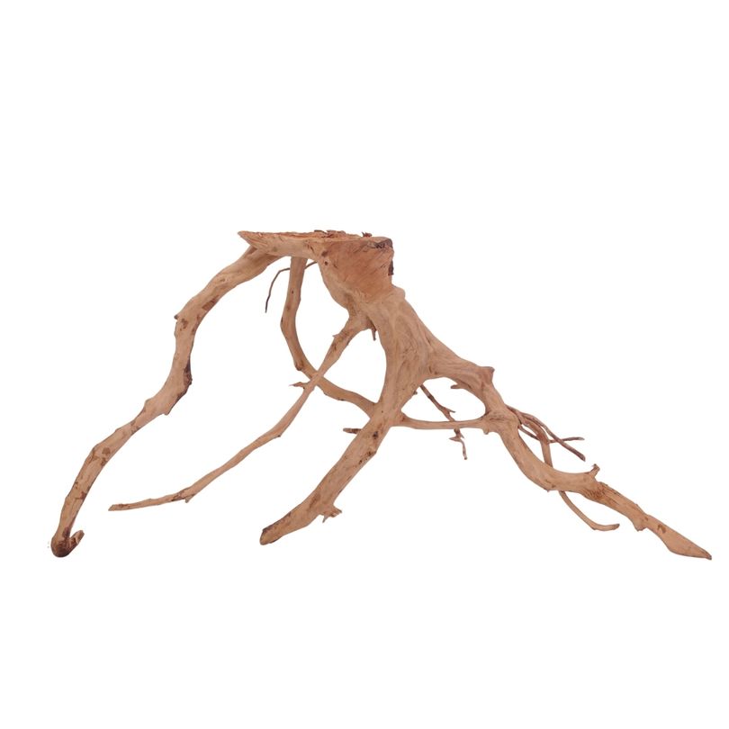 XL Moorkienwurzel Nr.3506 Fingerwurzel Echtholz Deko Aquascaping 