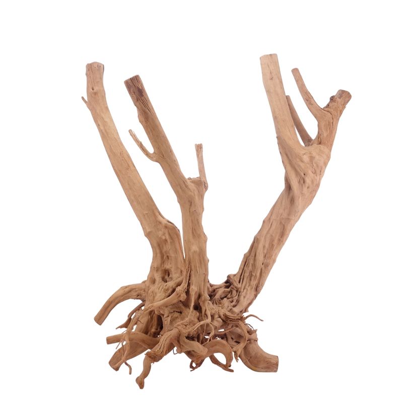 XXL Stump Wurzel Nr.3551 Holz Deko Aquascaping