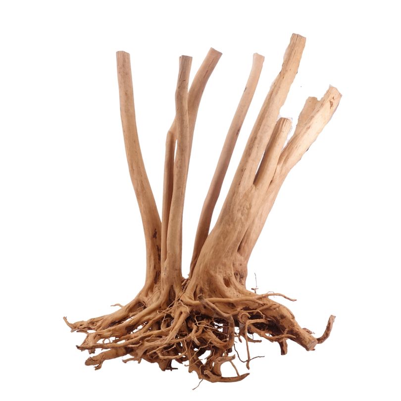 XXL Stump Wurzel Nr.3552 Holz Deko Aquascaping