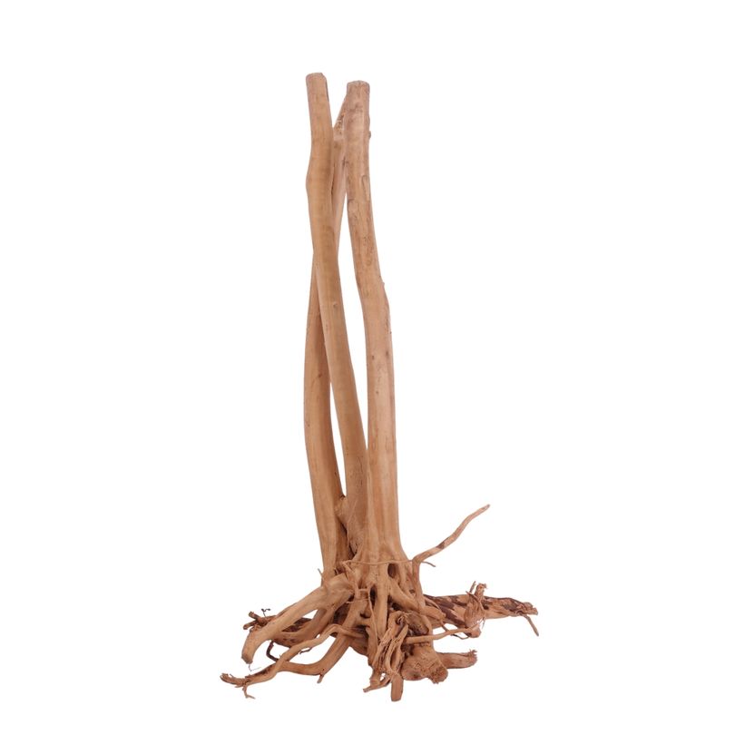 L Stump Wurzel Nr.3543 Holz Deko Aquascaping