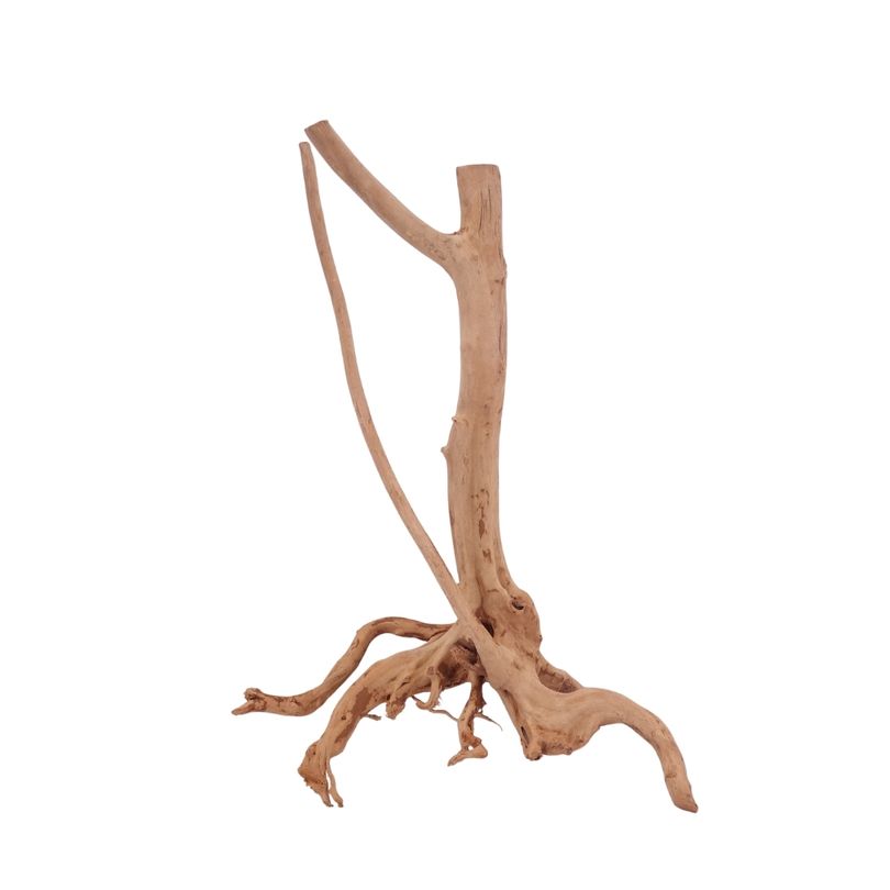 M Stump Wurzel Nr.3514 Holz Deko Aquascaping