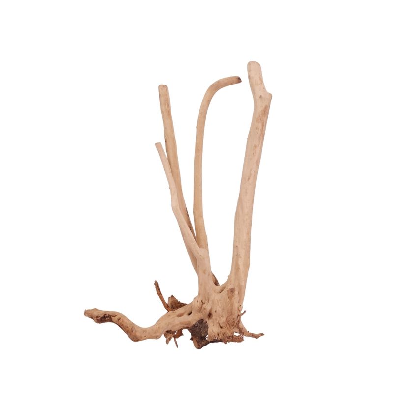 M Stump Wurzel Nr.3515 Holz Deko Aquascaping