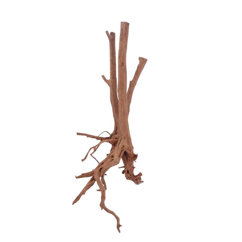 M Stump Wurzel Nr.3518 Holz Deko Aquascaping