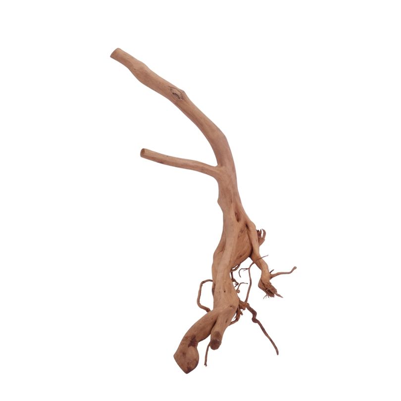 M Stump Wurzel Nr.3519 Holz Deko Aquascaping