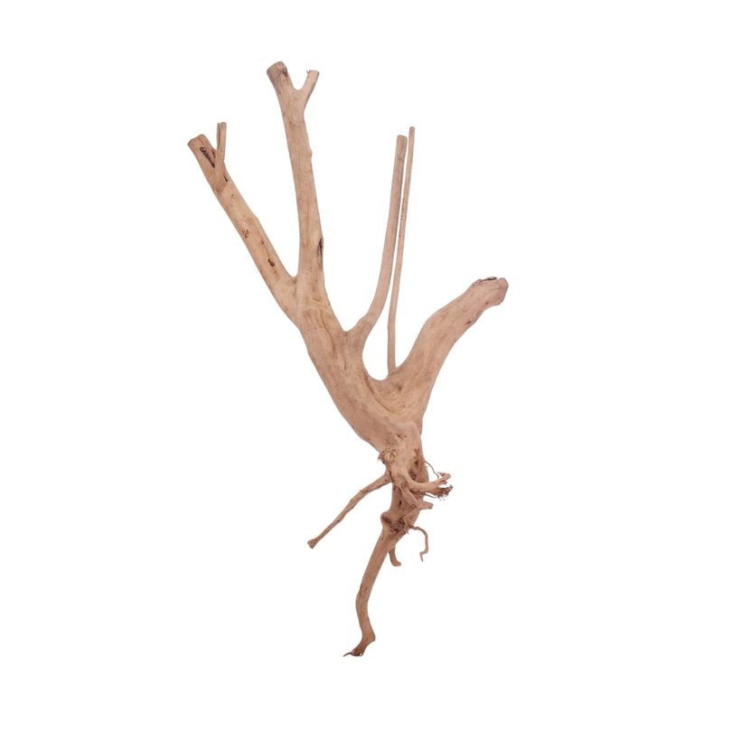 M Stump Wurzel Nr.3520 Holz Deko Aquascaping