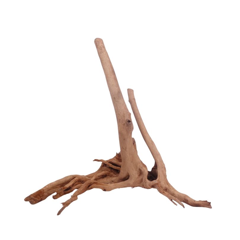 M Stump Wurzel Nr.3523 Holz Deko Aquascaping