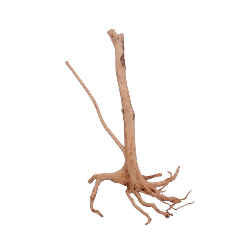 M Stump Wurzel Nr.3524 Holz Deko Aquascaping