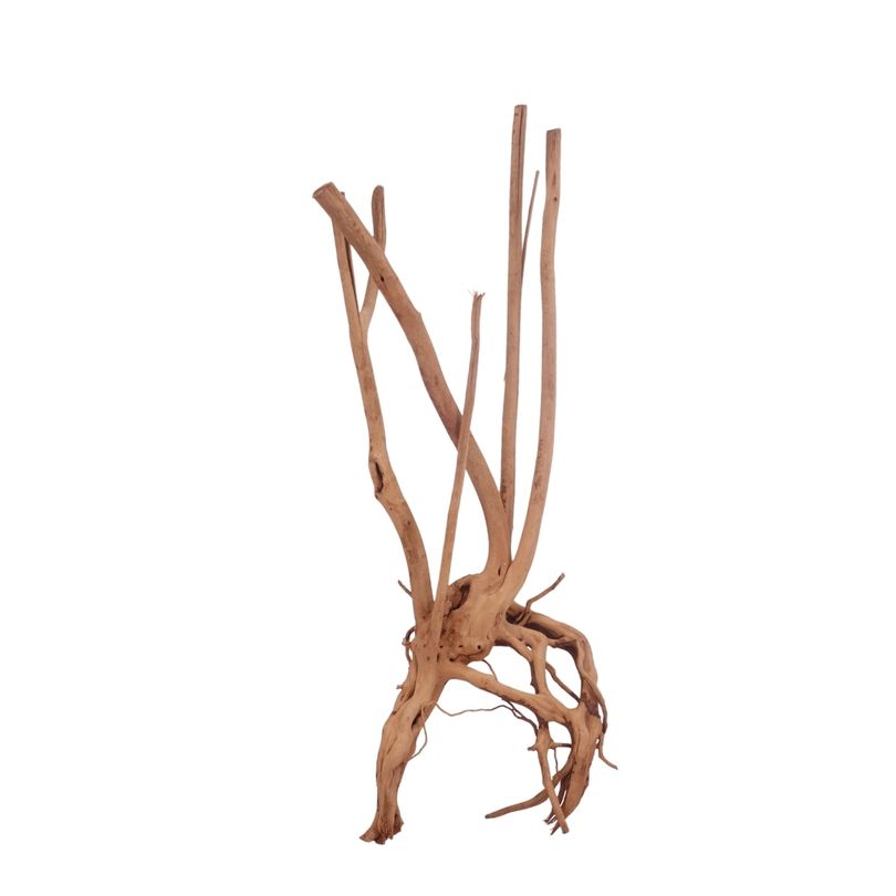 M Stump Wurzel Nr.3527 Holz Deko Aquascaping