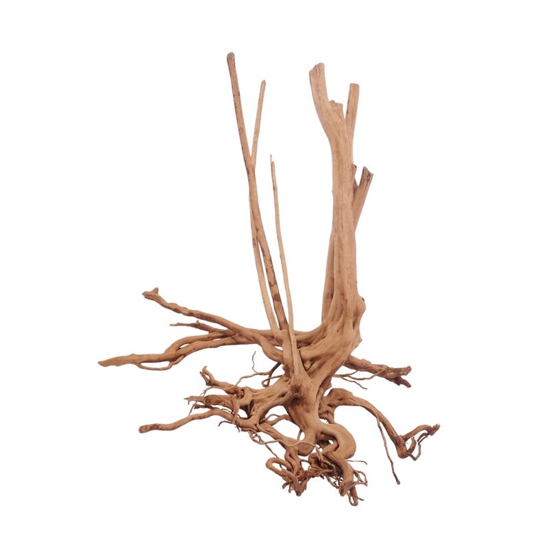 M Stump Wurzel Nr.3528 Holz Deko Aquascaping