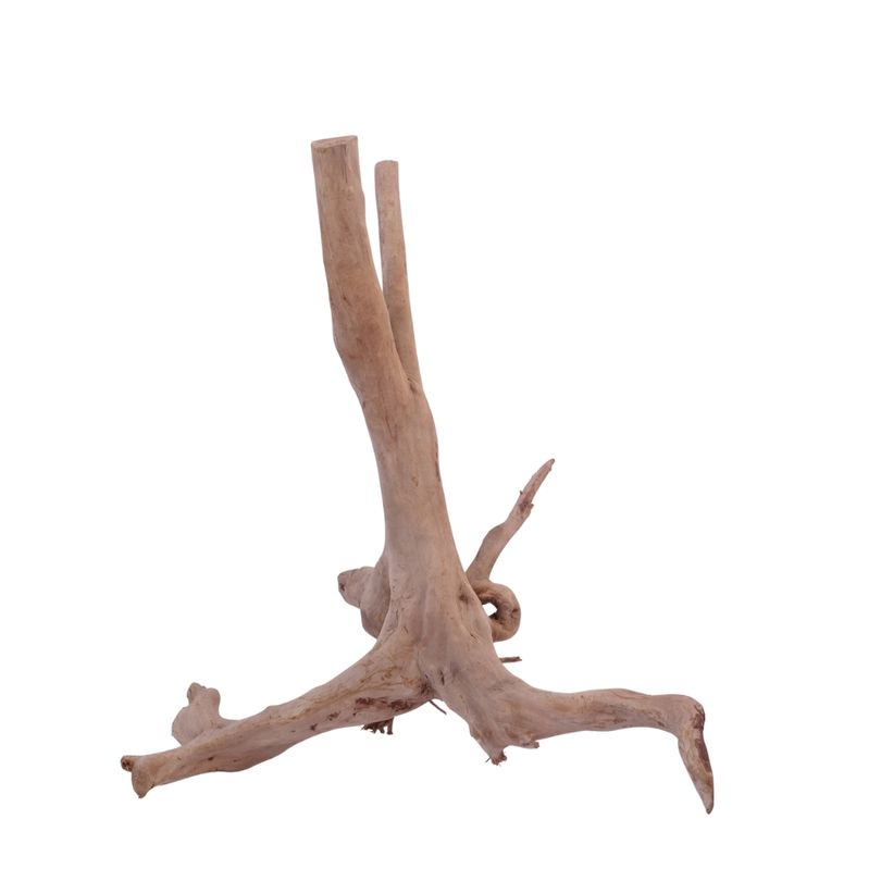 M Stump Wurzel Nr.3531 Holz Deko Aquascaping