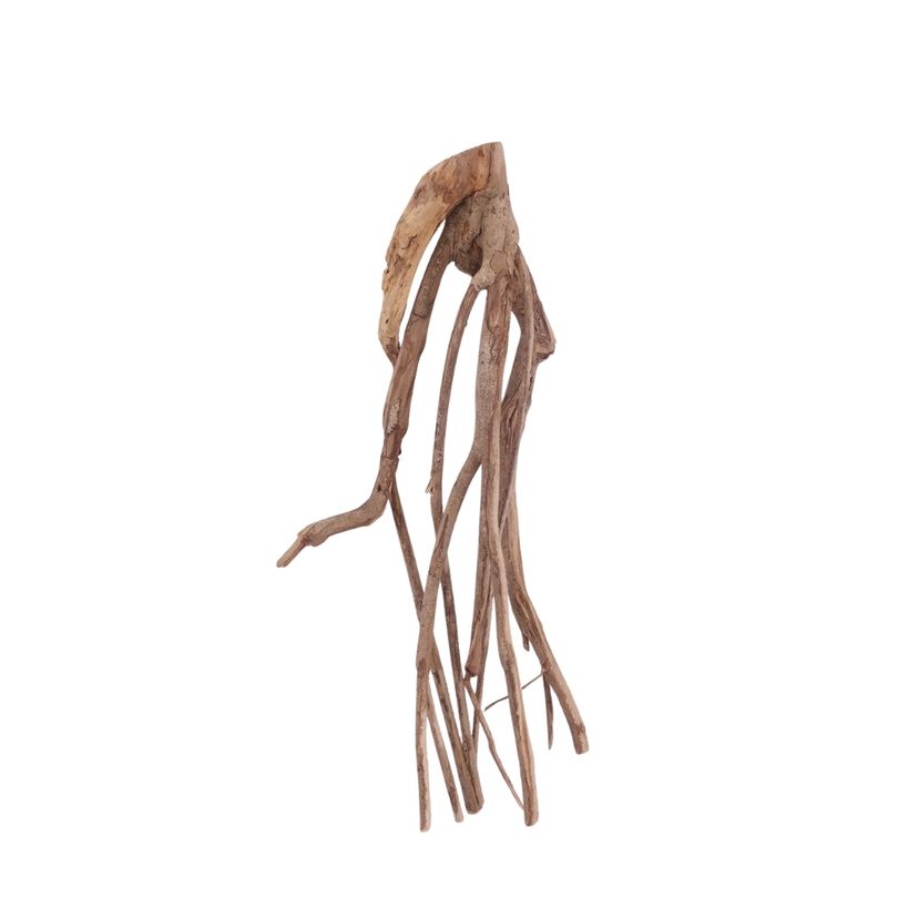 L Talawa Wurzel Nr.3561