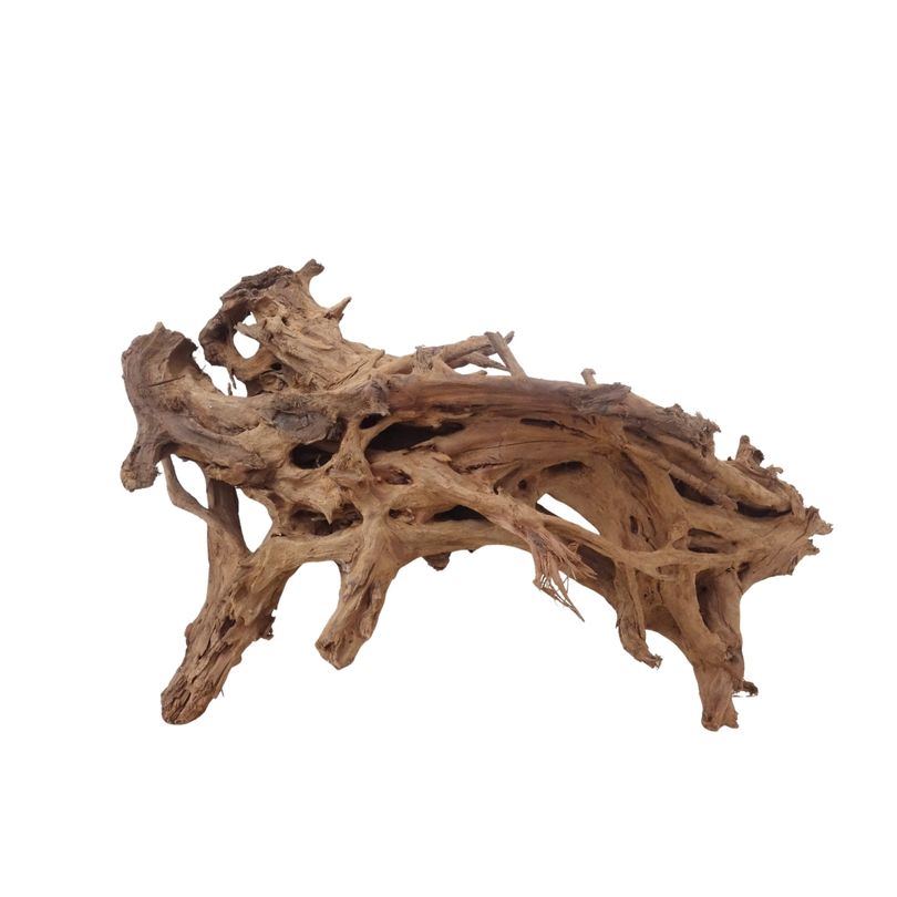 XL Mangrovenwurzel Nr.3691 Holz Deko Aquascaping