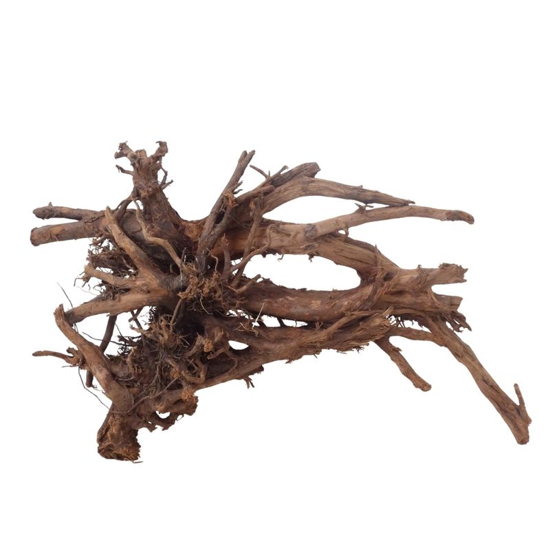XL Mangrovenwurzel Nr.3695 Holz Deko Aquascaping