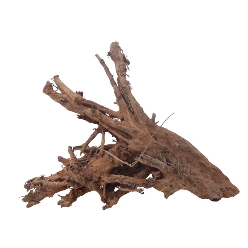 XL Mangrovenwurzel Nr.3700 Holz Deko Aquascaping