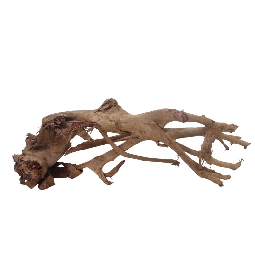 XL Mangrovenwurzel Nr.3706 Holz Deko Aquascaping