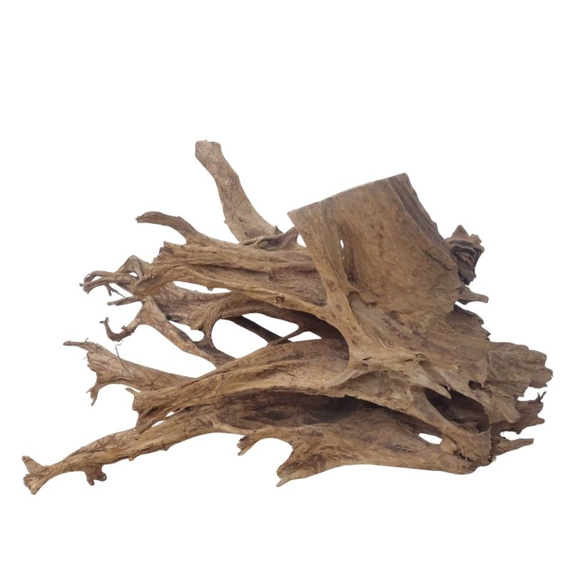 XL Mangrovenwurzel Nr.3713 Holz Deko Aquascaping