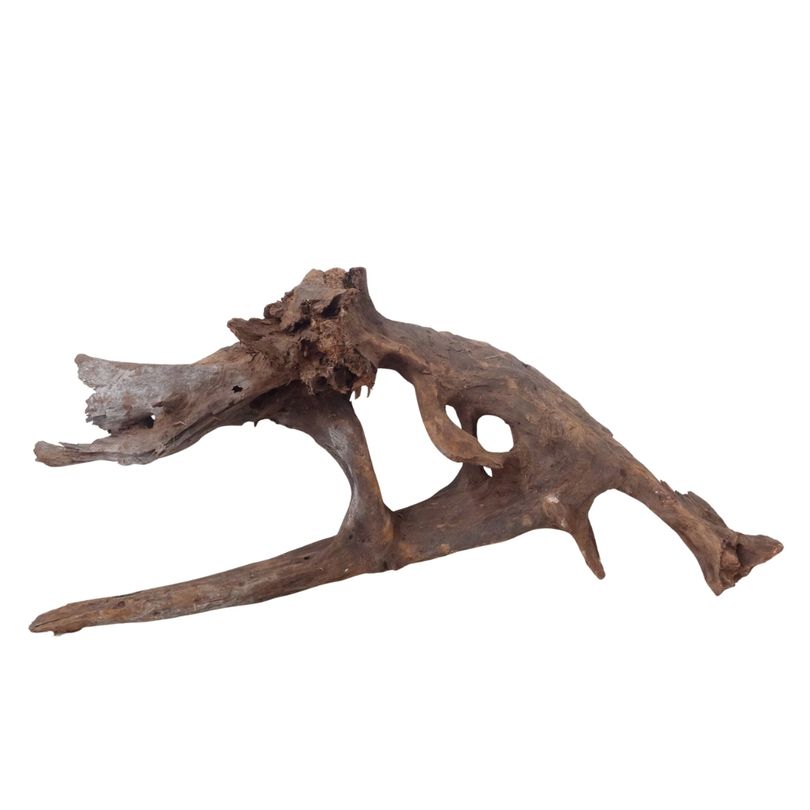 XL Mangrovenwurzel Nr.3718 Holz Deko Aquascaping