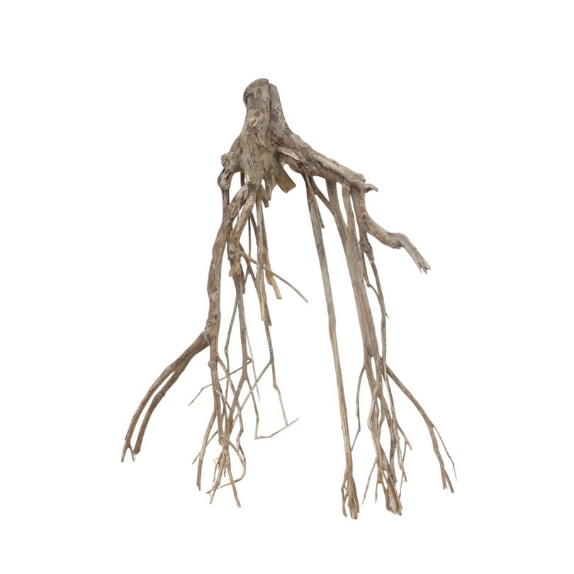 XXL Talawa Wurzel Nr.3664