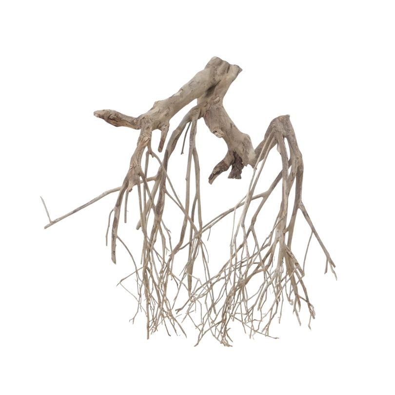 XXL Talawa Wurzel Nr.3669