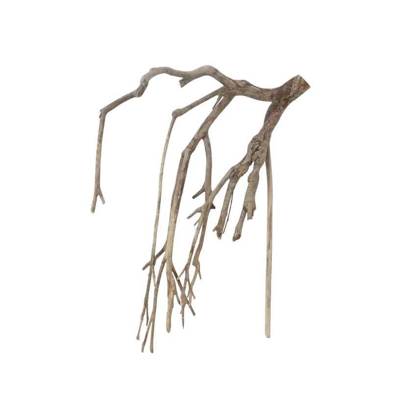 XXL Talawa Wurzel Nr.3674