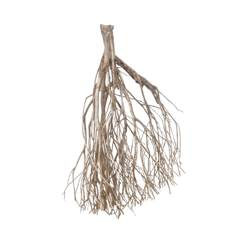 XXL Talawa Wurzel Nr.3683