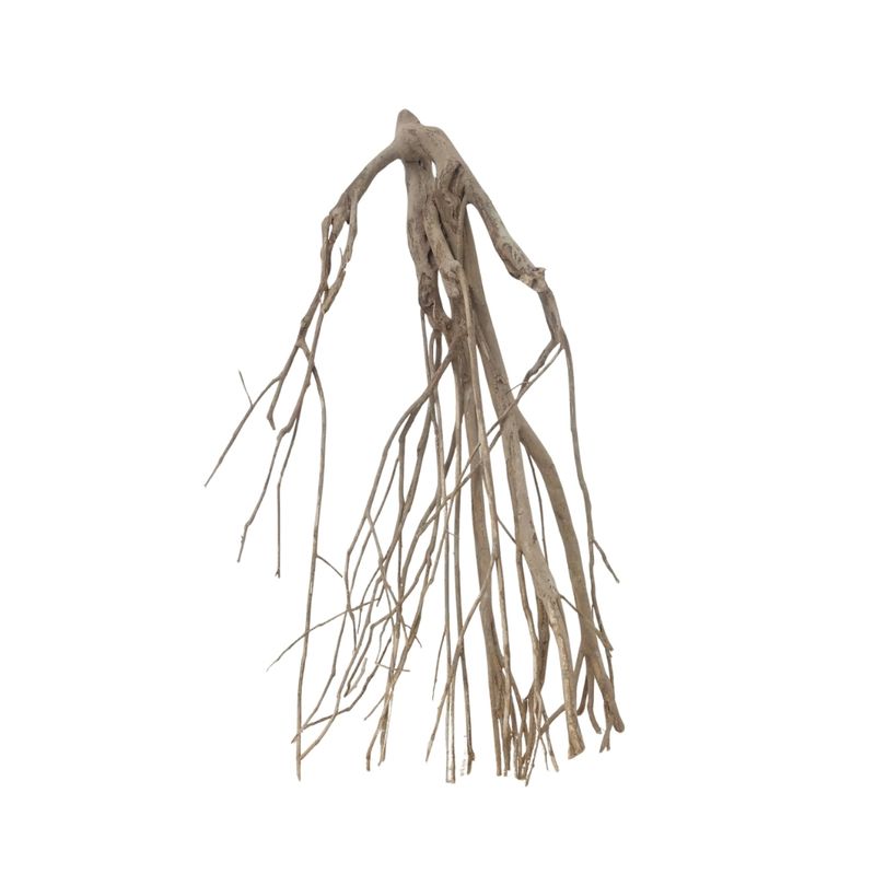 XXL Talawa Wurzel Nr.3684