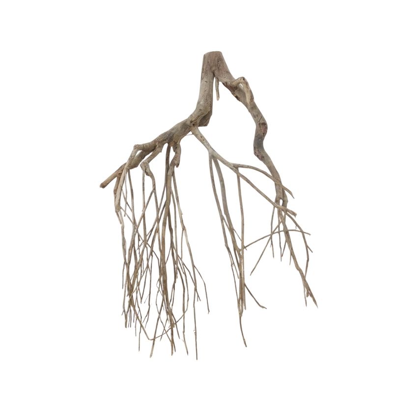 XXL Talawa Wurzel Nr.3687