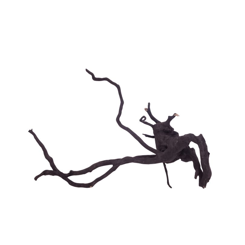 XL Black Spider Wurzel Nr.3722 Fingerwurzel Echtholz Deko Aquascaping