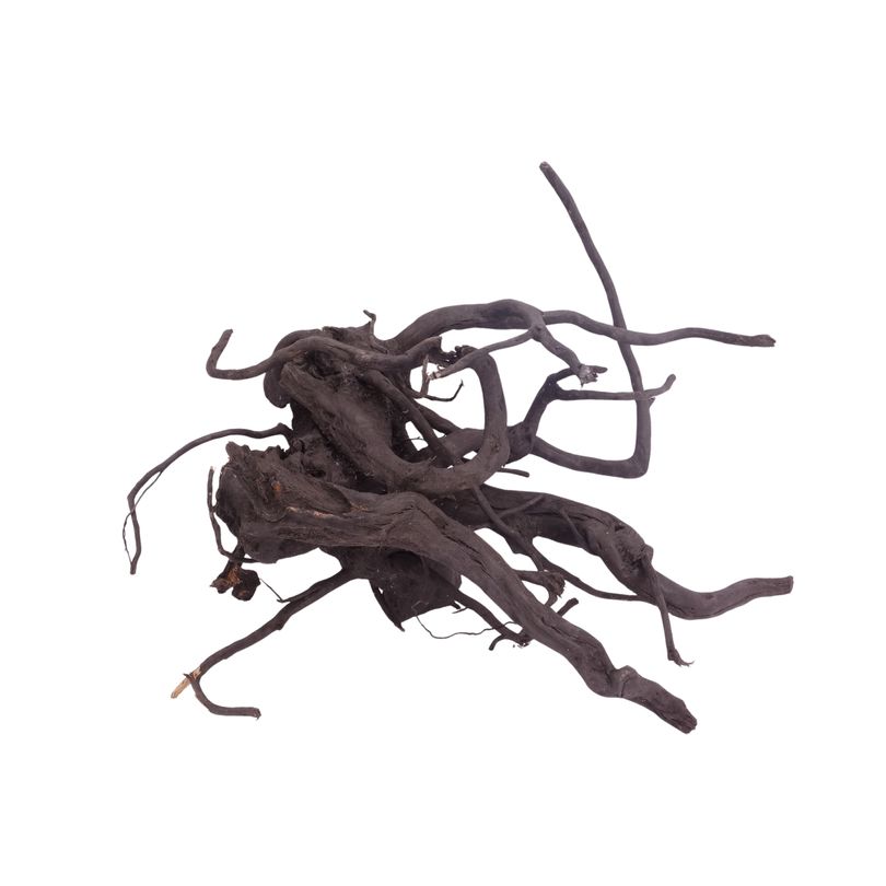 XL Black Spider Wurzel Nr.3723 Fingerwurzel Echtholz Deko Aquascaping