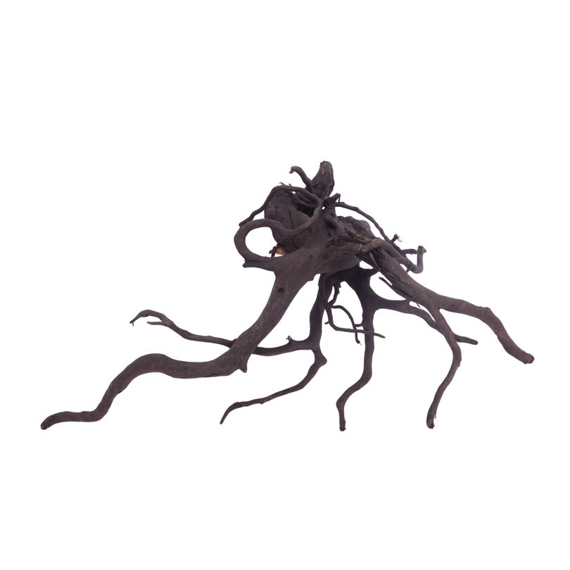 XL Black Spider Wurzel Nr.3724 Fingerwurzel Echtholz Deko Aquascaping
