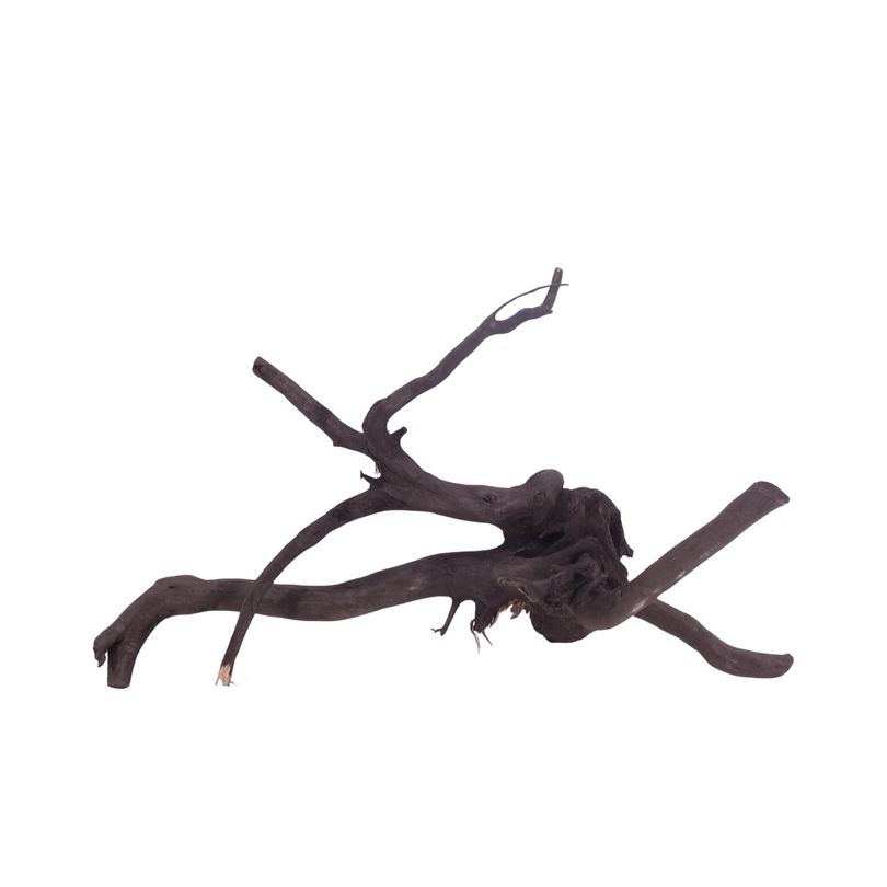 XL Black Spider Wurzel Nr.3727 Fingerwurzel Echtholz Deko Aquascaping