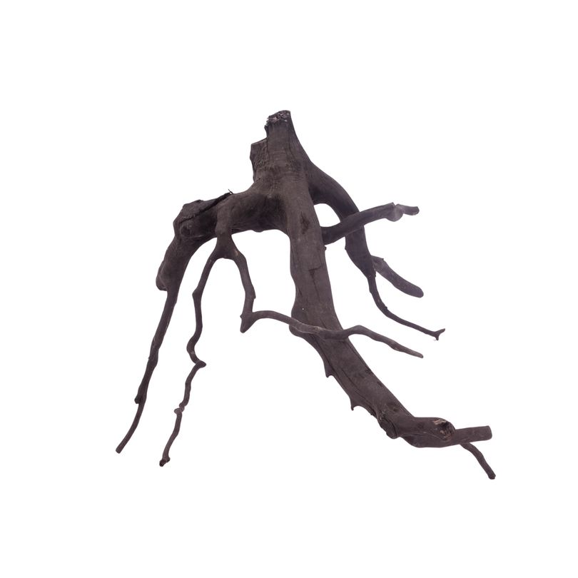 XL Black Spider Wurzel Nr.3730 Fingerwurzel Echtholz Deko Aquascaping