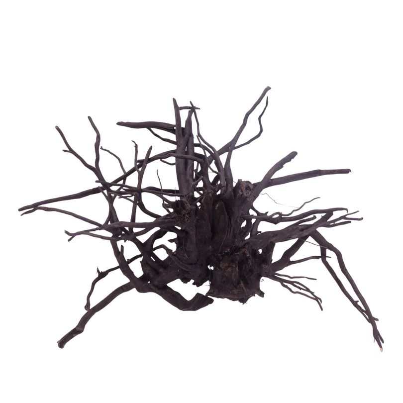 XL Black Spider Wurzel Nr.3734 Fingerwurzel Echtholz Deko Aquascaping