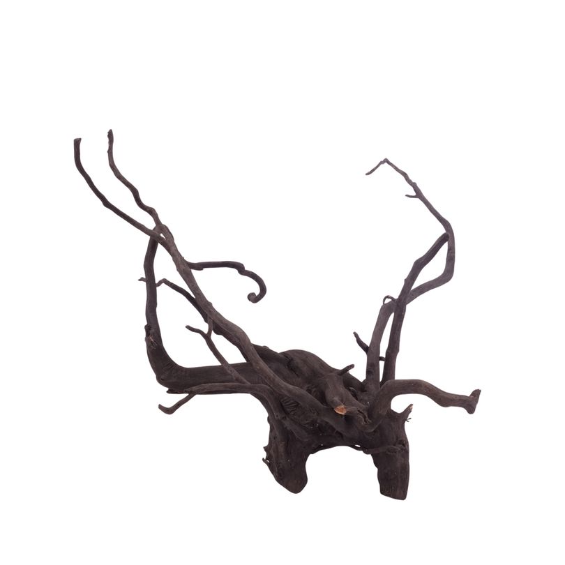 XL Black Spider Wurzel Nr.3737 Fingerwurzel Echtholz Deko Aquascaping