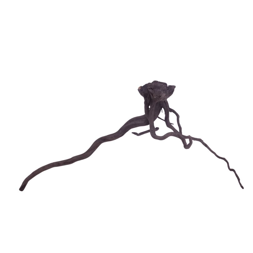 XL Black Spider Wurzel Nr.3738 Fingerwurzel Echtholz Deko Aquascaping