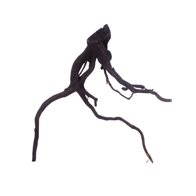 XL Black Spider Wurzel Nr.3740 Fingerwurzel Echtholz Deko Aquascaping
