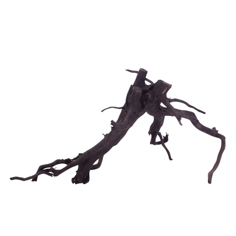 XL Black Spider Wurzel Nr.3742 Fingerwurzel Echtholz Deko Aquascaping