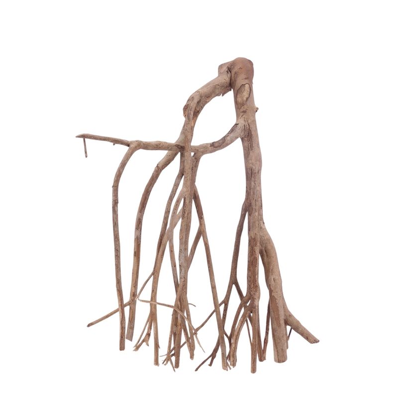 XL Talawa Wurzel Nr.3608