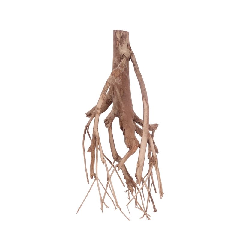 XL Talawa Wurzel Nr.3614