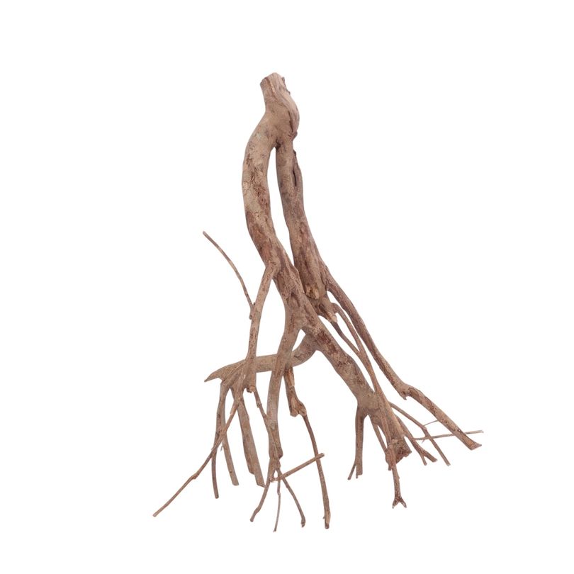 XL Talawa Wurzel Nr.3628