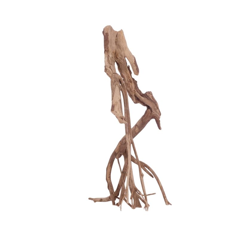 XL Talawa Wurzel Nr.3639