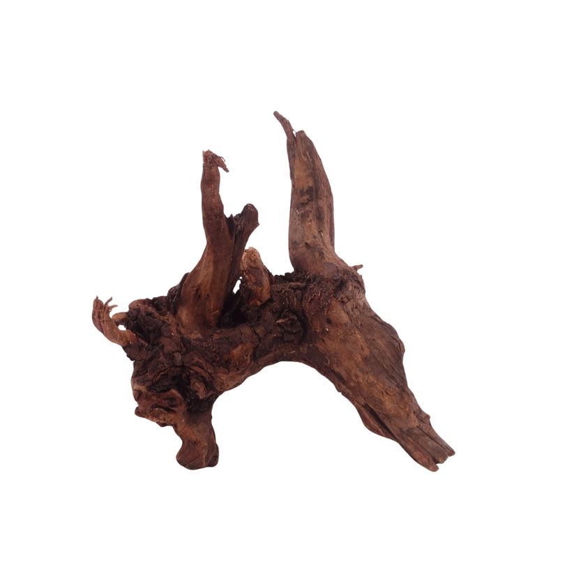 M Driftwood Flußwurzel Nr.3796 Holz Deko Aquascaping