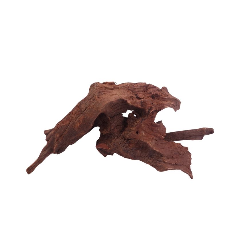 M Driftwood Flußwurzel Nr.3797 Holz Deko Aquascaping